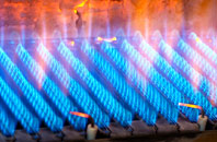 Weaste gas fired boilers